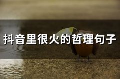 抖音里很火的哲理句子(67句)