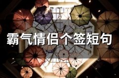 霸气情侣个签短句(精选65句)