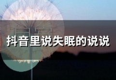 抖音里说失眠的说说(精选66句)