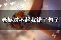 老婆对不起我错了句子(66句)