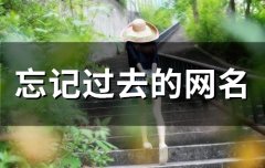 忘记过去的网名(精选66个)