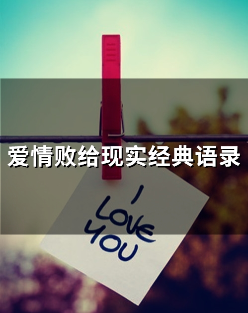 爱情败给现实经典语录(84句) 爱情败给现实经典语录(84句)