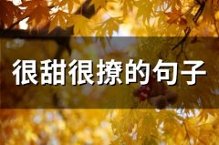 很甜很撩的句子(精选93句)