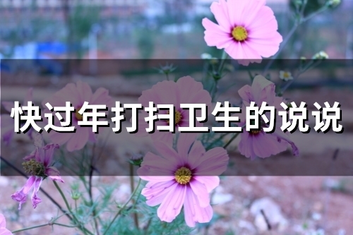 快过年打扫卫生的说说(精选19句)