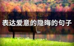 表达爱意的隐晦的句子 文艺隐晦爱情的句子