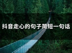抖音走心的句子简短一句话 抖音文案短句大全