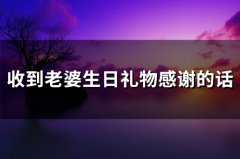 收到媳妇生日礼物感谢的话