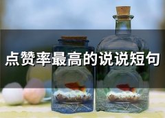 点赞率评论率极高的说说
