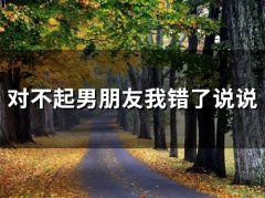 和男朋友说对不起我错了说说