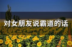 对女朋友说霸道的话 霸道总裁对女朋友说的话