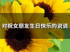 关于祝女朋友生日快乐的说说
