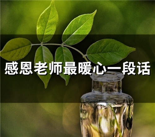 幼儿园感恩老师最暖心一段话 幼儿园感恩老师最暖心一段话