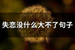失恋没什么大不了句子 适合失恋发的句子
