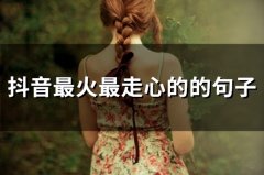 抖音里面比较火的句子