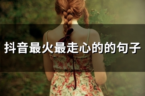 抖音里面比较火的句子