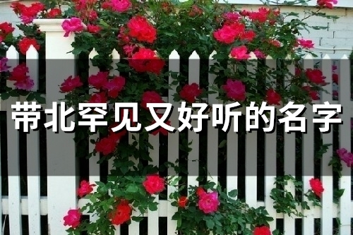带北罕见又好听的名字 北字开头的好听的网名 带北罕见又好听的名字 北字开头的好听的网名