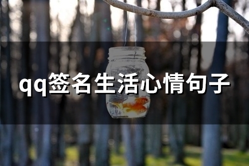 qq签名生活心情句子 适合个性签名的句子