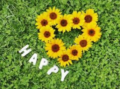 经典语录qq说说大全(66句)