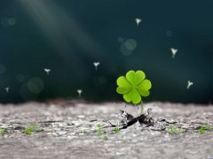 妈妈生日发朋友圈说说(66句)