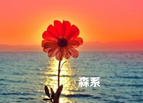 好听的股票群名字大全(78个) 好听的股票群名字大全(78个)