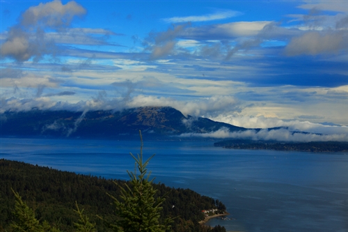 qq心痛伤感网名(精选128个)