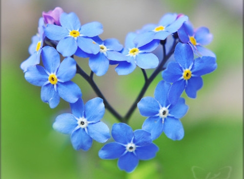 说说早安心语简短句子(精选74句)