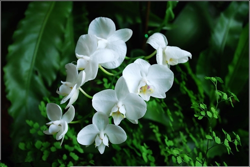 女儿回娘家的唯美句子(精选65句)