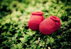 春分节气的优美句子(65句)