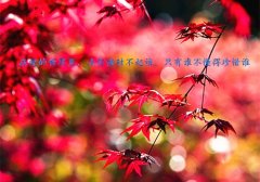 脑细胞不够用的句子(62句)