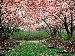 正能量的励志句子经典语句(精选326句)