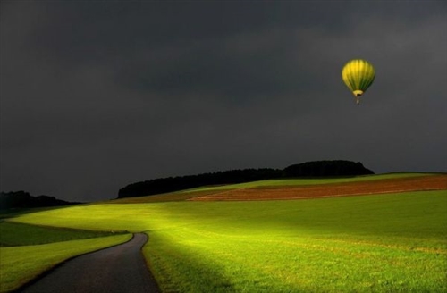 形容贝壳的美好句子(精选66句) 形容贝壳的美好句子(精选66句)