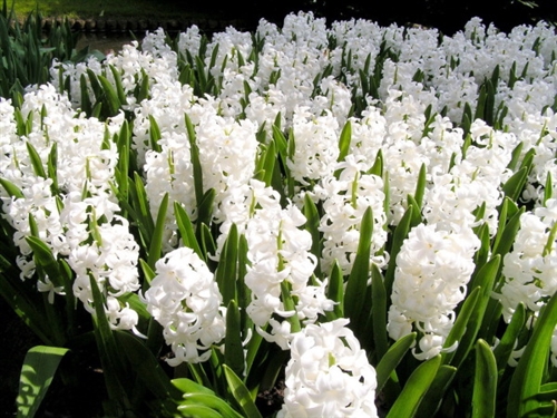 小女生朋友圈说说大全(精选66句) 小女生朋友圈说说大全(精选66句)