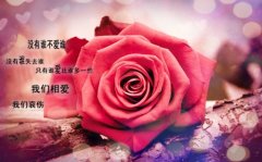 形容放下了的句子(73句)