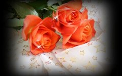 感谢相遇的唯美短句子(42句)