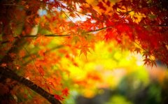 对象生日发的短句子(精选70句)