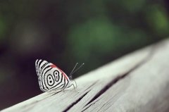 活得潇洒适合发朋友圈的句子说说(65句)