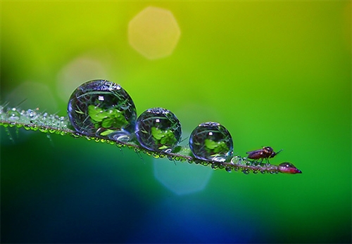 你欺骗了我的感情句子说说(通用76句) 你欺骗了我的感情句子说说(通用76句)