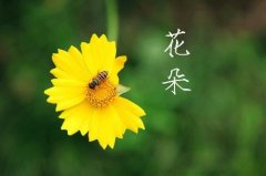表达我很担心你的句子(73句)