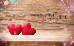 描述爱一个人的句子短句(精选72句)