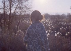 致自己的正能量句子中年人正能量的句子(57句)