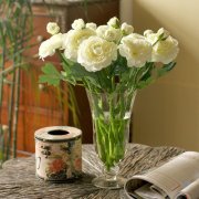 好烦发朋友圈一句话的句子说说(热门67句)