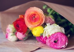 痛到心滴血的句子短句(精选67句)