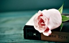 如懿传里的经典句子大全(必备42句)