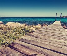 独一无二没有人用过昵称(精选253个)