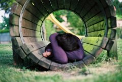 女人拼命挣钱经典句子(优选56句)