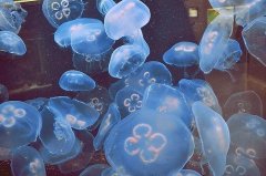 发朋友圈获赞的句子(共68句)