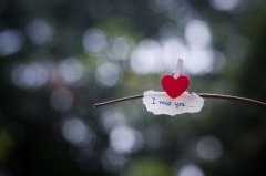 赞美兔子可爱的句子(通用46句)