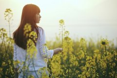 形容努力攀登的古诗句(汇总49句)