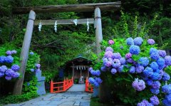 男人最爱听的致命情话(汇总66句)