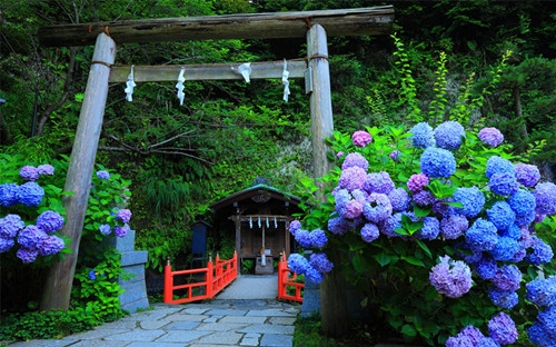 男人最爱听的致命情话(汇总66句)